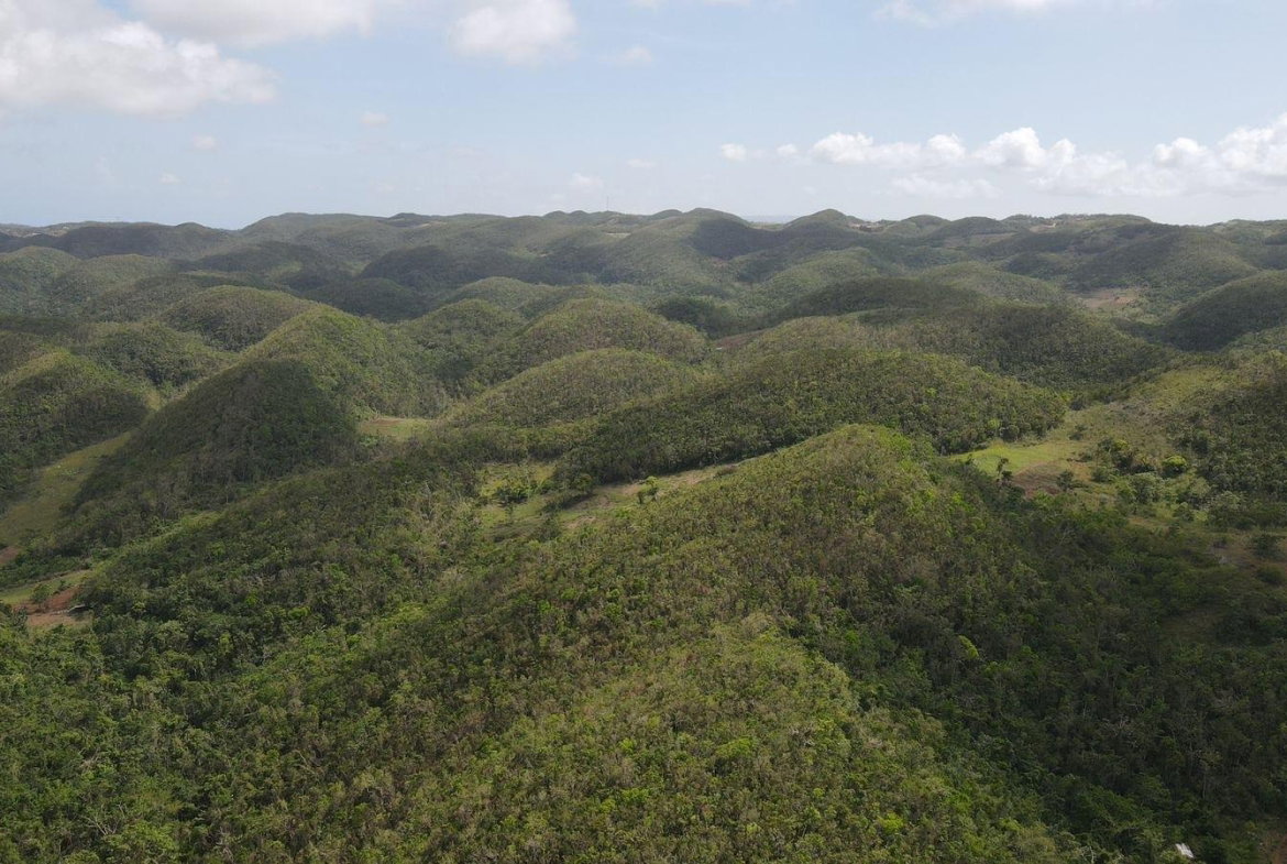 Sixth image of Donnington in Mandeville, Manchester, Jamaica - property is For Sale