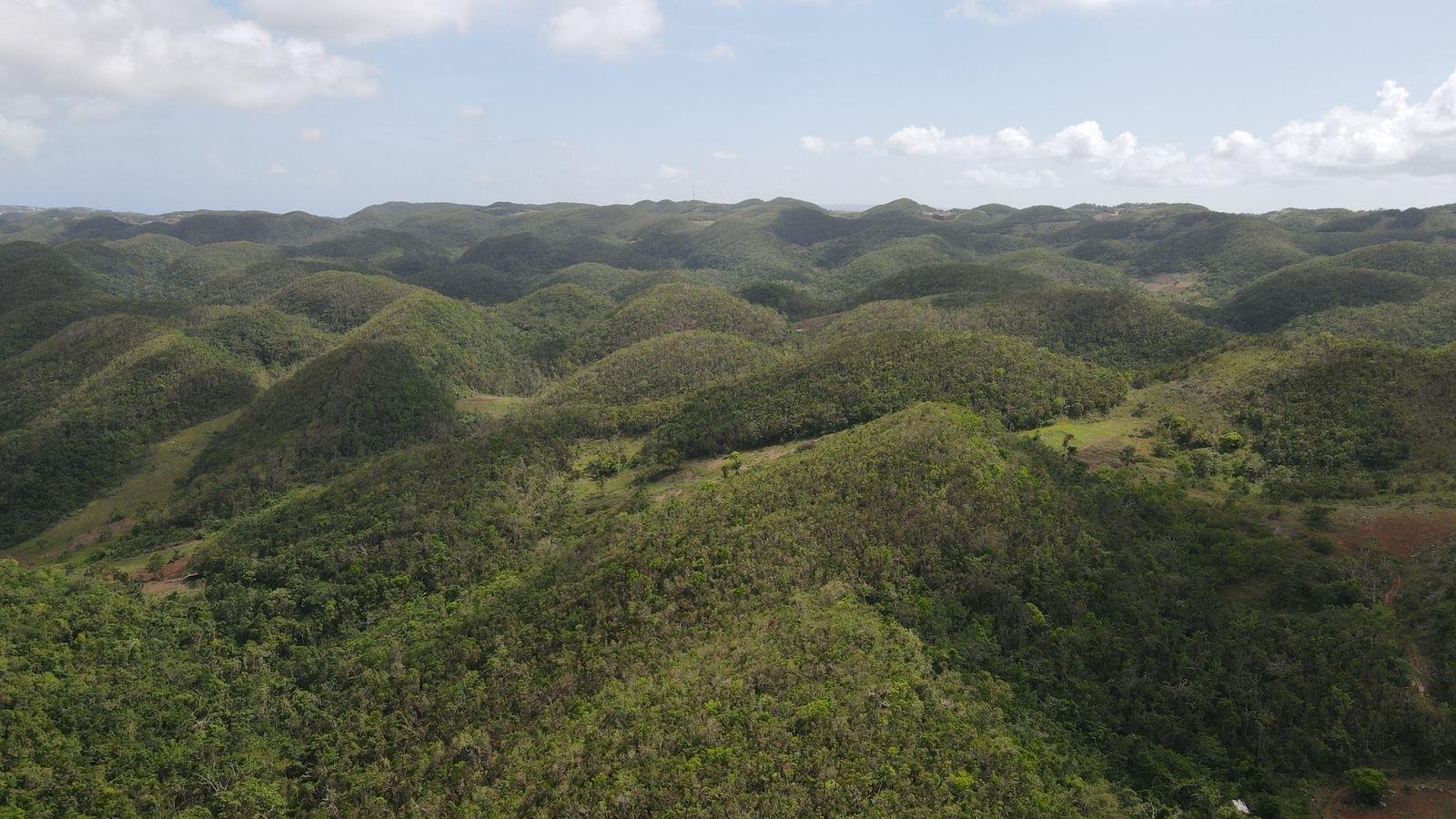 Sixth image of Donnington in Mandeville, Manchester, Jamaica - property is For Sale