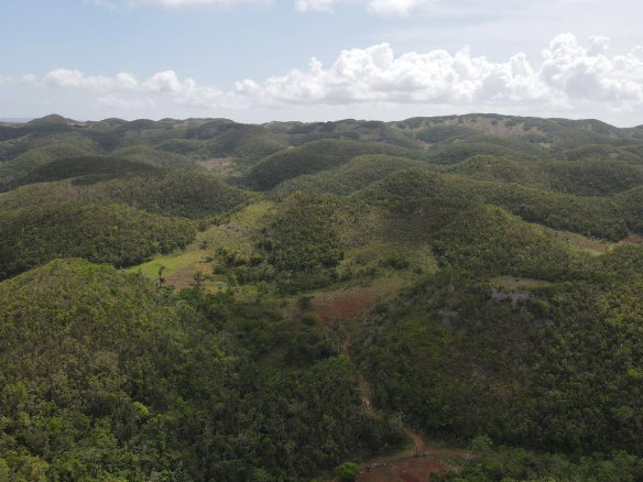 First image of Donnington in Mandeville, Manchester, Jamaica - property is For Sale