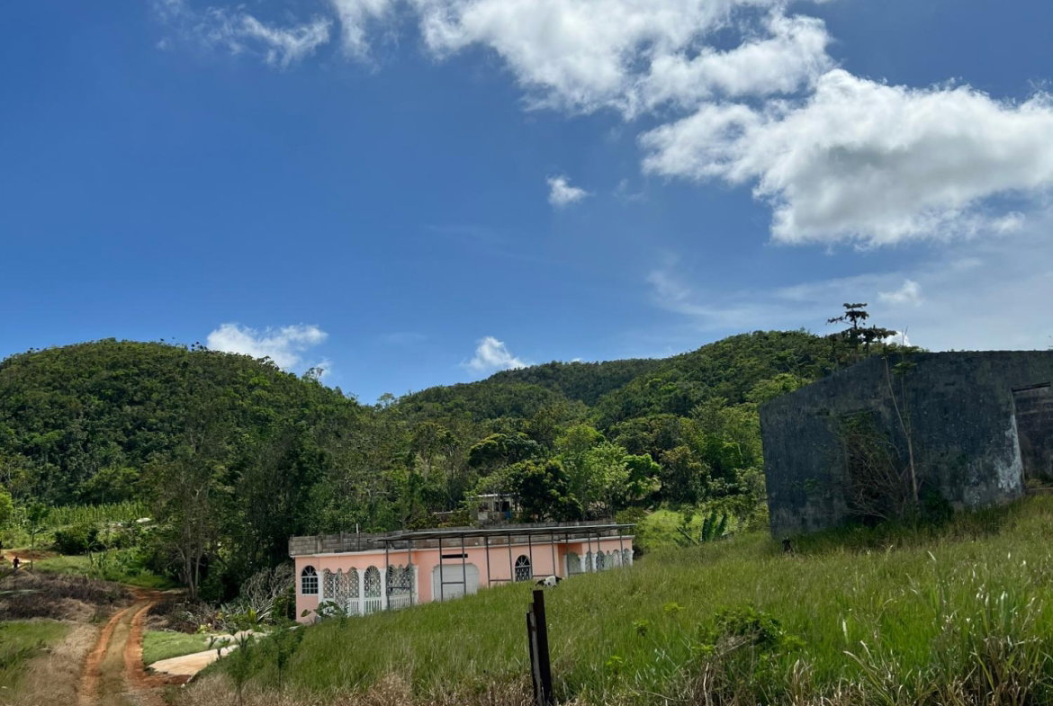 Seventh image of Donnington in Mandeville, Manchester, Jamaica - property is For Sale