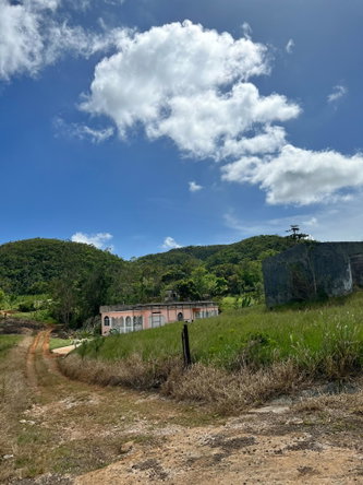 Seventh image of Donnington in Mandeville, Manchester, Jamaica - property is For Sale