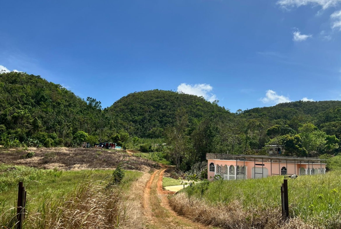 Eighth image of Donnington in Mandeville, Manchester, Jamaica - property is For Sale