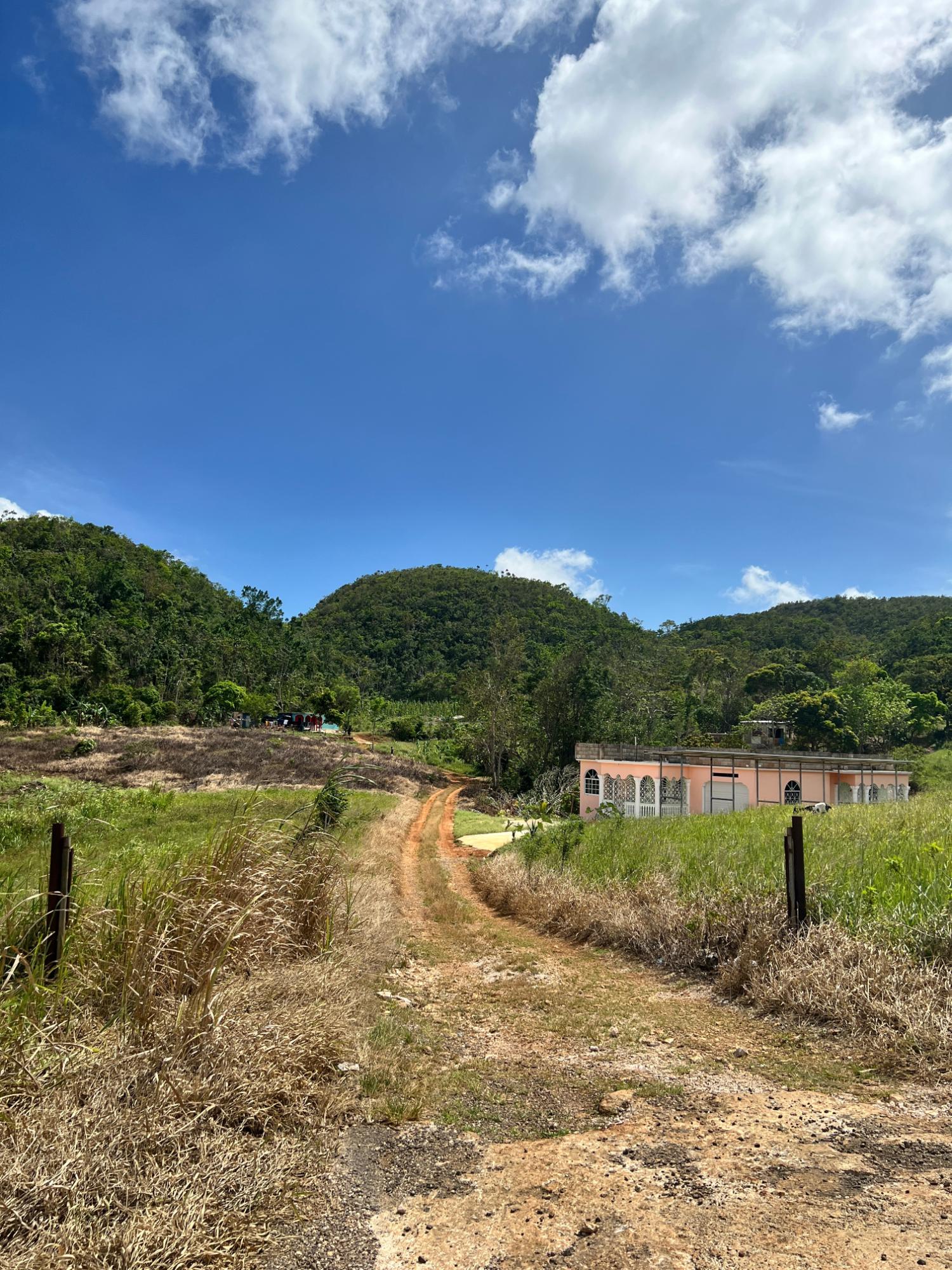 Eighth image of Donnington in Mandeville, Manchester, Jamaica - property is For Sale