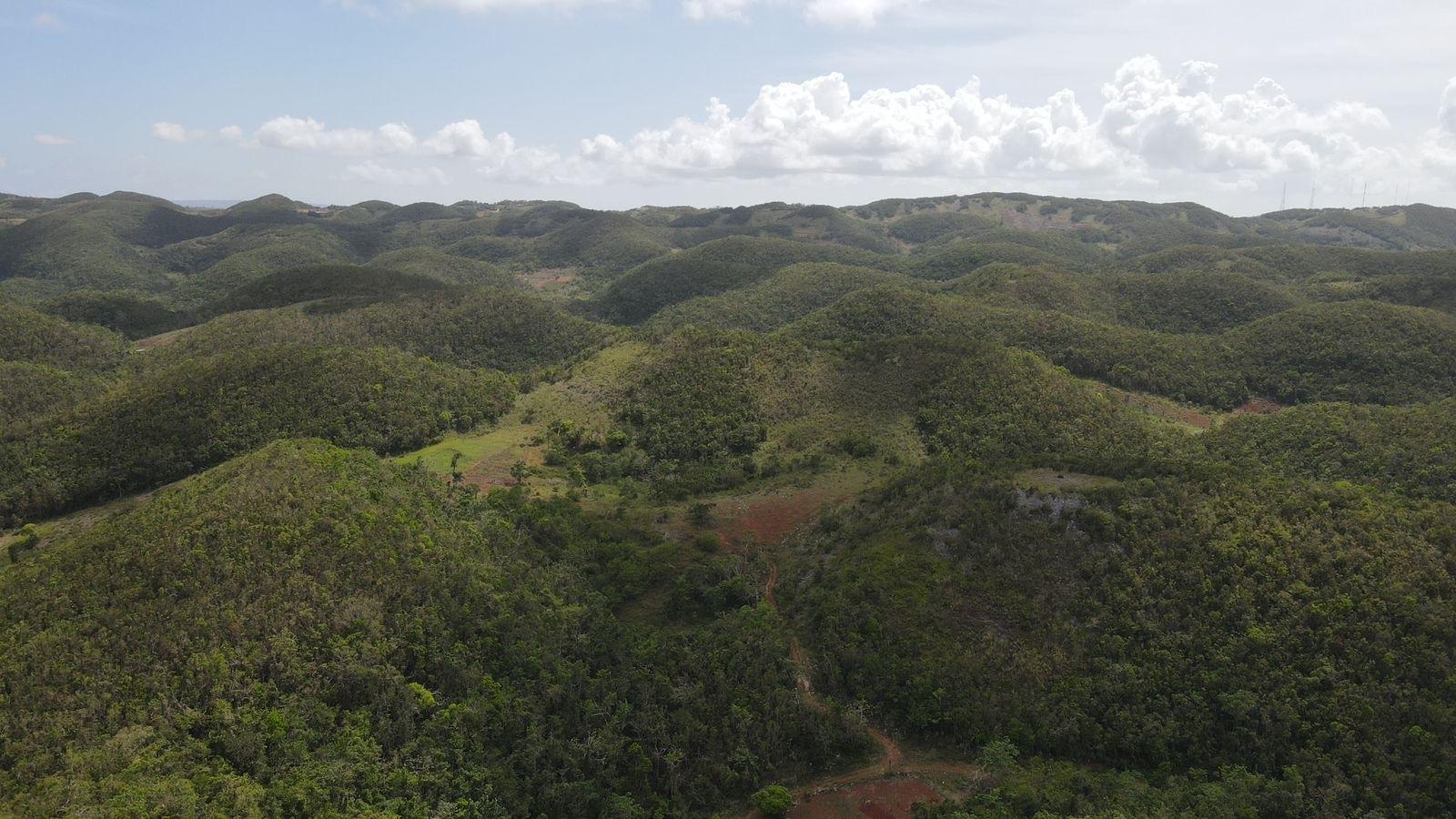 First image of Donnington in Mandeville, Manchester, Jamaica - property is For Sale