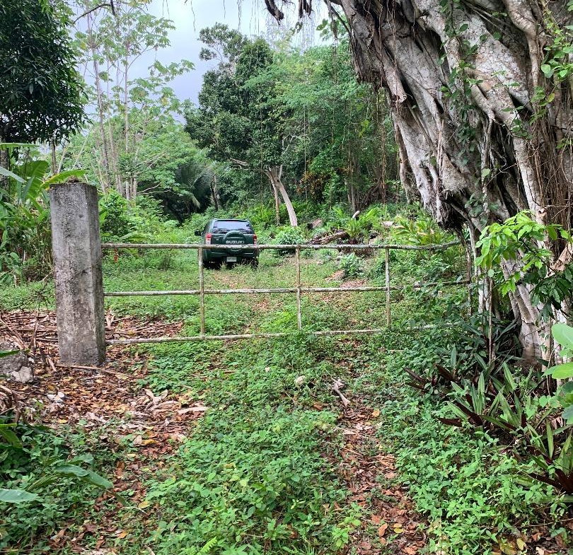 Second image of 4 Union Pen in Oracabessa, St. Mary, Jamaica - property is For Sale