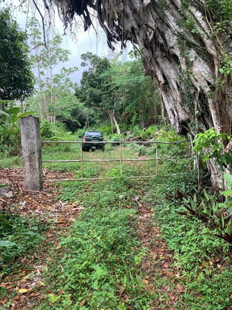 Second image of 4 Union Pen in Oracabessa, St. Mary, Jamaica - property is For Sale