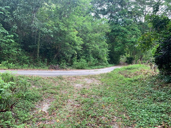 Third image of 4 Union Pen in Oracabessa, St. Mary, Jamaica - property is For Sale