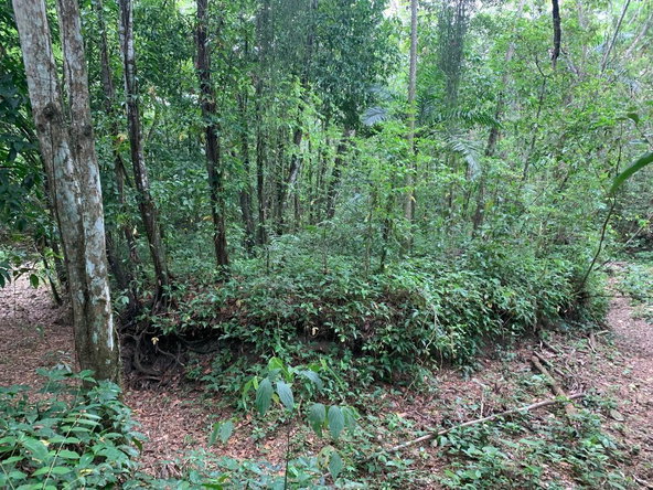 Fourth image of 4 Union Pen in Oracabessa, St. Mary, Jamaica - property is For Sale