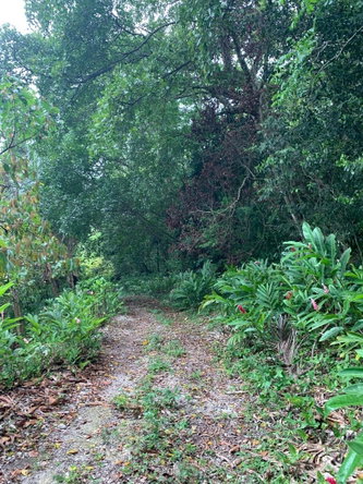 Fifth image of 4 Union Pen in Oracabessa, St. Mary, Jamaica - property is For Sale