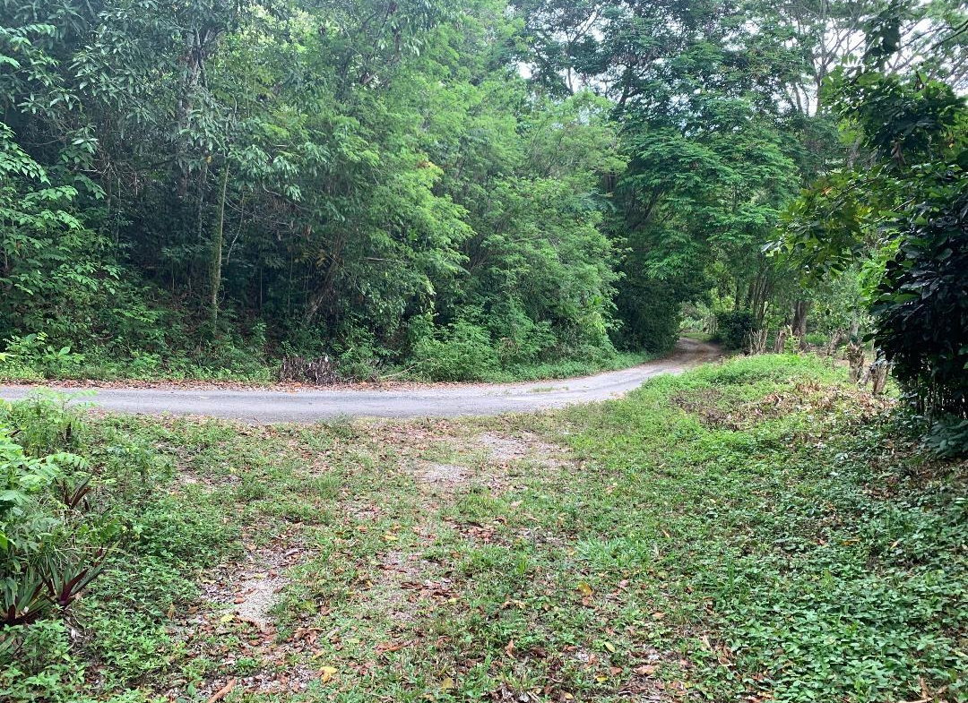 Second image of 3- Union Pen in Oracabessa, St. Mary, Jamaica - property is For Sale