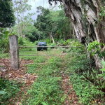 First image of 3- Union Pen in Oracabessa, St. Mary, Jamaica - property is For Sale