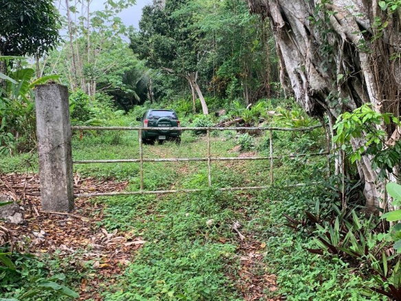 First image of 3- Union Pen in Oracabessa, St. Mary, Jamaica - property is For Sale