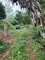 First image of 3- Union Pen in Oracabessa, St. Mary, Jamaica - property is For Sale