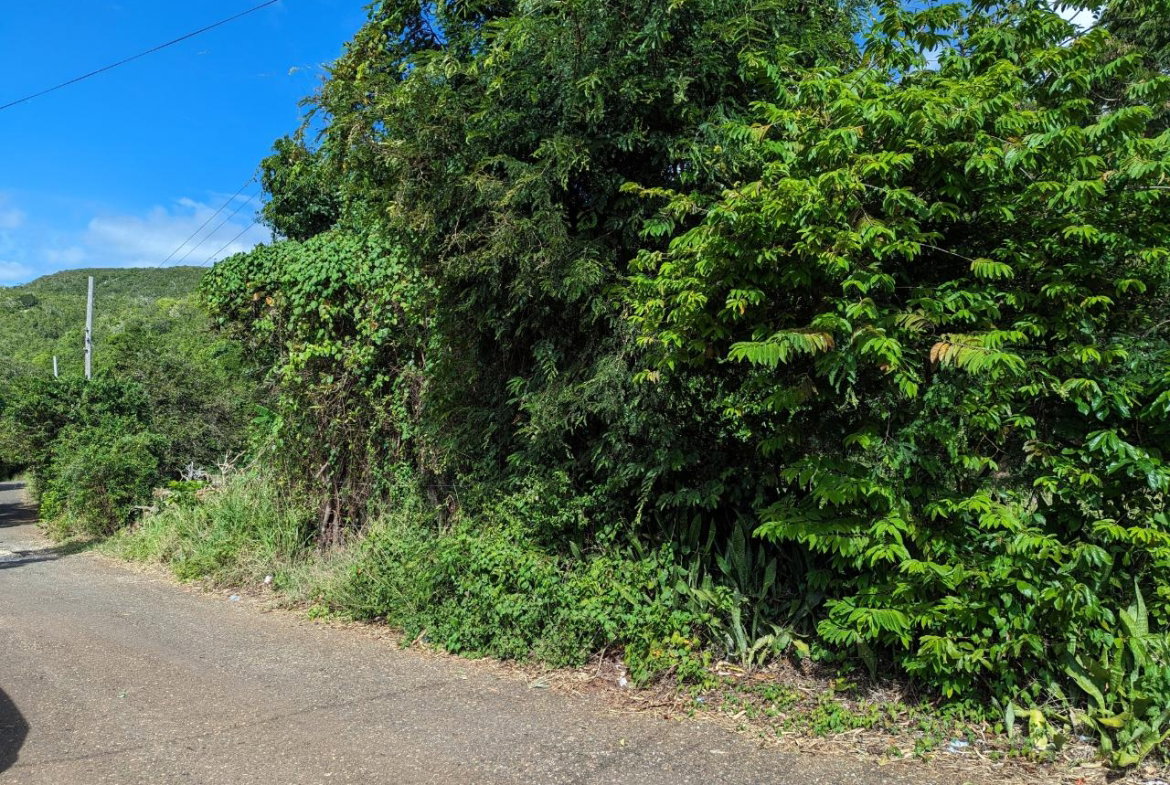 Second image of Marley Hill District, Cro in Cross Keys, Manchester, Jamaica - property is For Sale