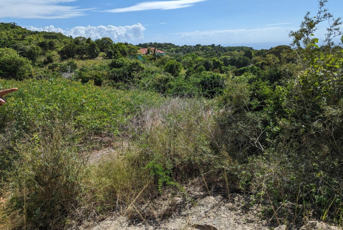 Thirteenth image of Marley Hill District, Cro in Cross Keys, Manchester, Jamaica - property is For Sale