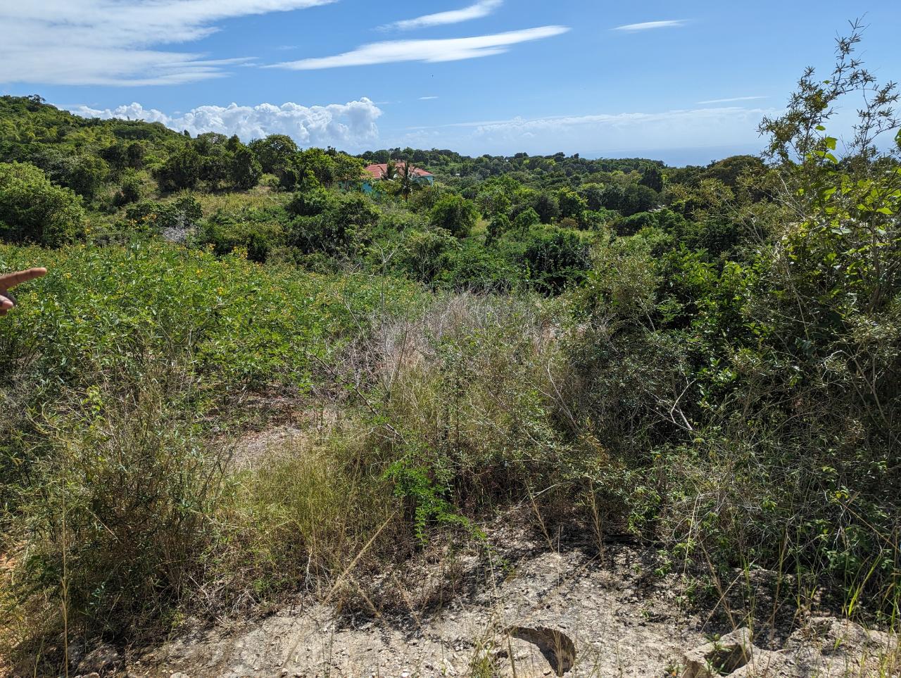 Thirteenth image of Marley Hill District, Cro in Cross Keys, Manchester, Jamaica - property is For Sale