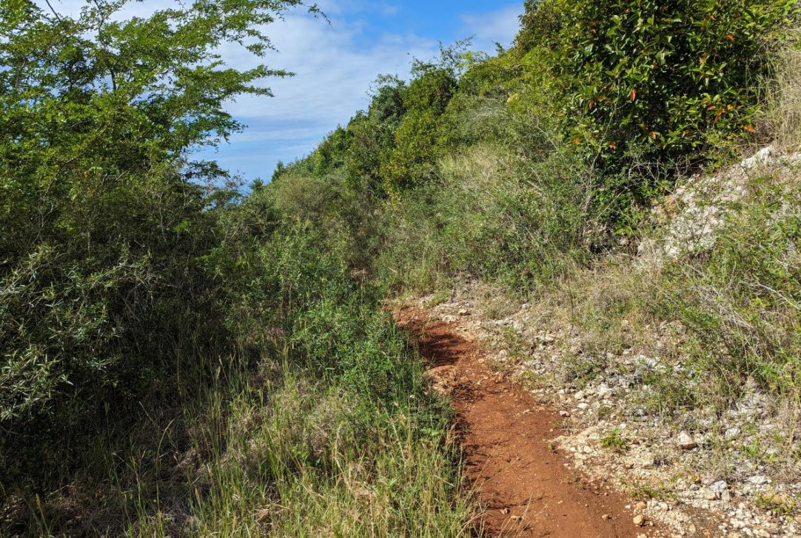 Fifteenth image of Marley Hill District, Cro in Cross Keys, Manchester, Jamaica - property is For Sale