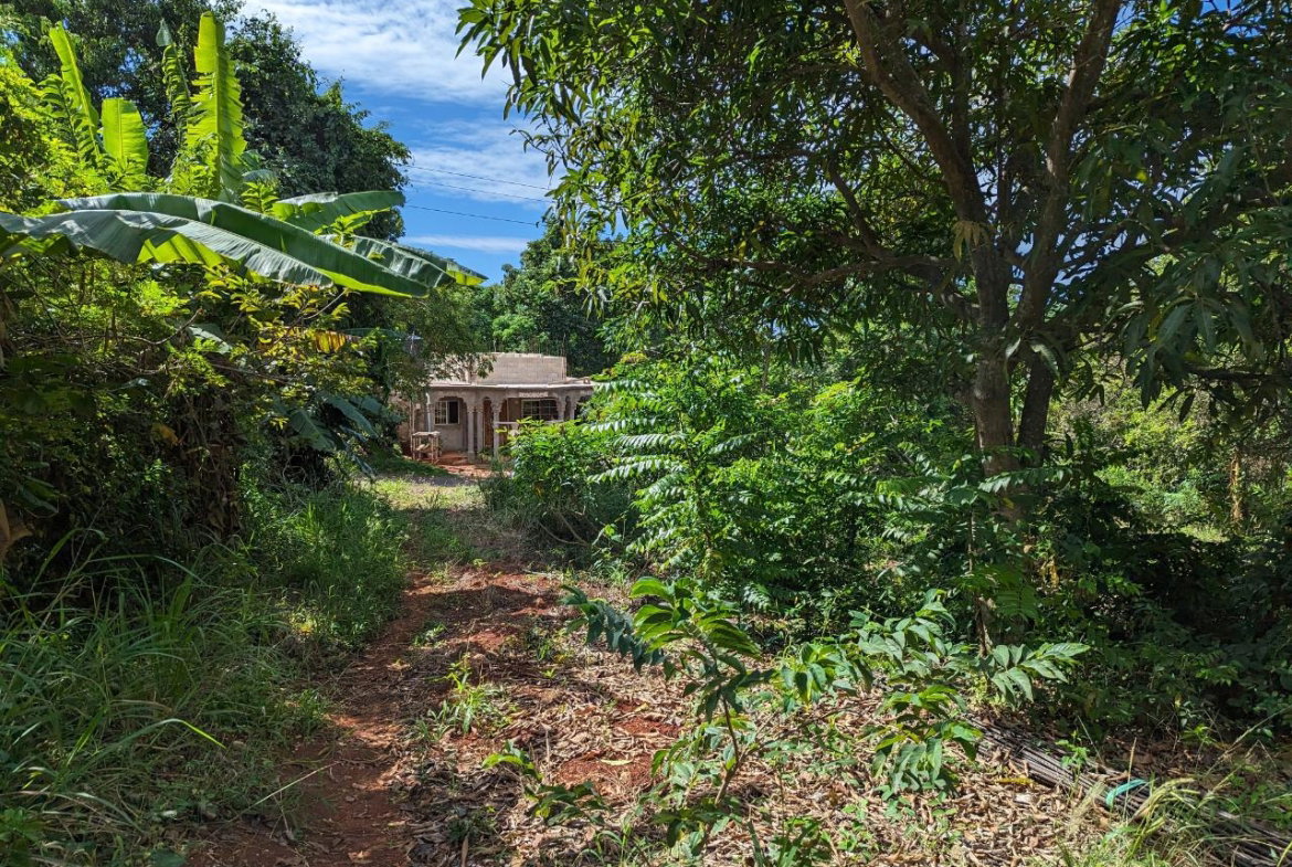 Sixteenth image of Marley Hill District, Cro in Cross Keys, Manchester, Jamaica - property is For Sale