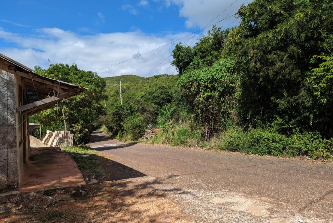 Third image of Marley Hill District, Cro in Cross Keys, Manchester, Jamaica - property is For Sale