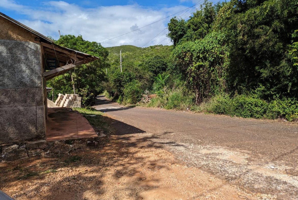 Fourth image of Marley Hill District, Cro in Cross Keys, Manchester, Jamaica - property is For Sale