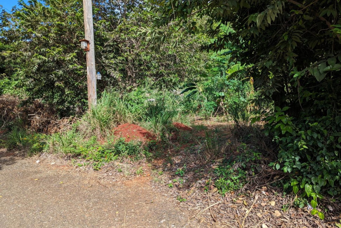 Fifth image of Marley Hill District, Cro in Cross Keys, Manchester, Jamaica - property is For Sale