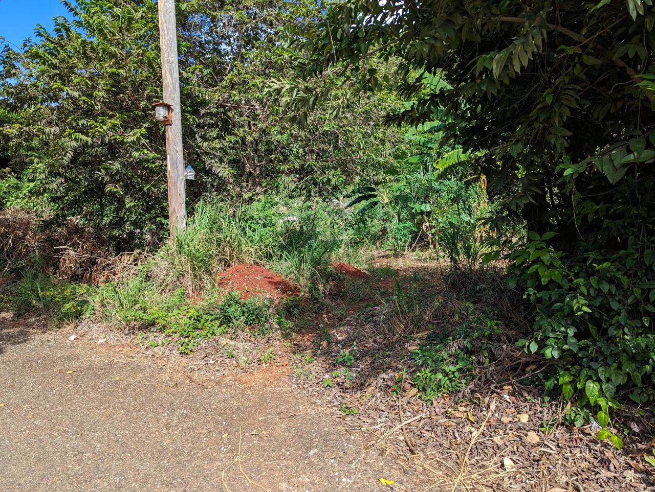 Fifth image of Marley Hill District, Cro in Cross Keys, Manchester, Jamaica - property is For Sale