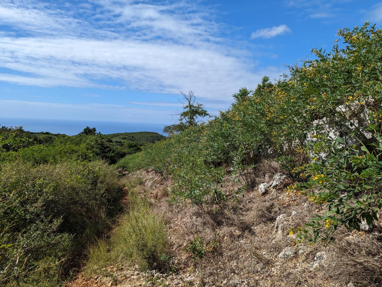 Eighth image of Marley Hill District, Cro in Cross Keys, Manchester, Jamaica - property is For Sale