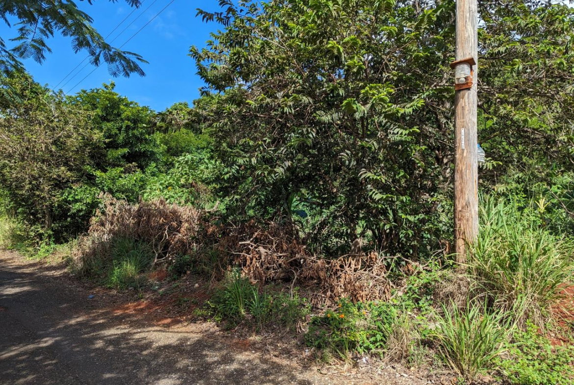 Ninth image of Marley Hill District, Cro in Cross Keys, Manchester, Jamaica - property is For Sale