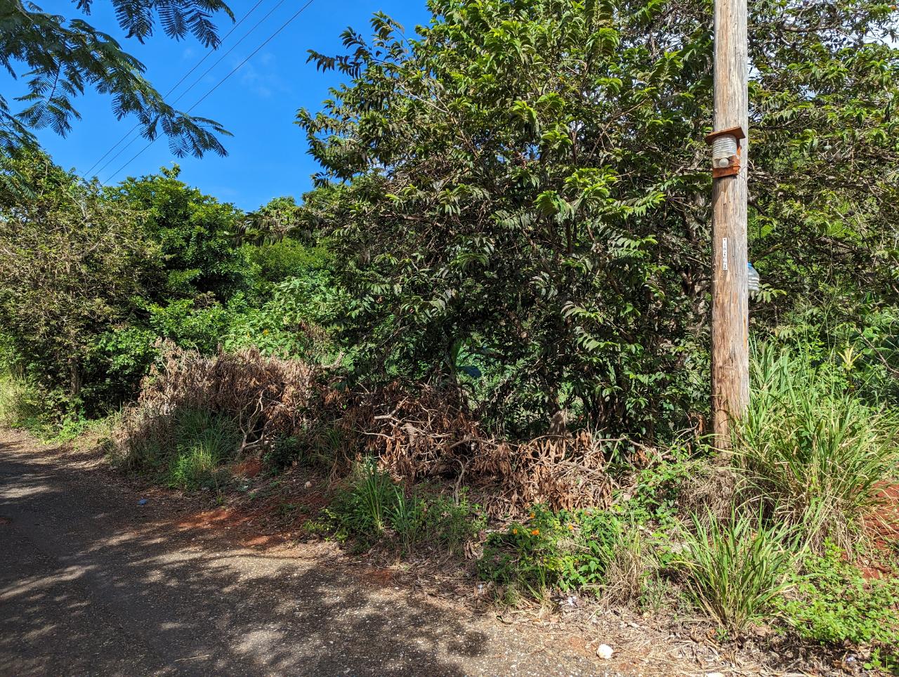 Ninth image of Marley Hill District, Cro in Cross Keys, Manchester, Jamaica - property is For Sale