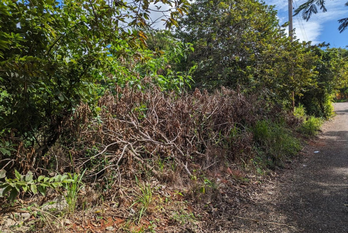 Tenth image of Marley Hill District, Cro in Cross Keys, Manchester, Jamaica - property is For Sale