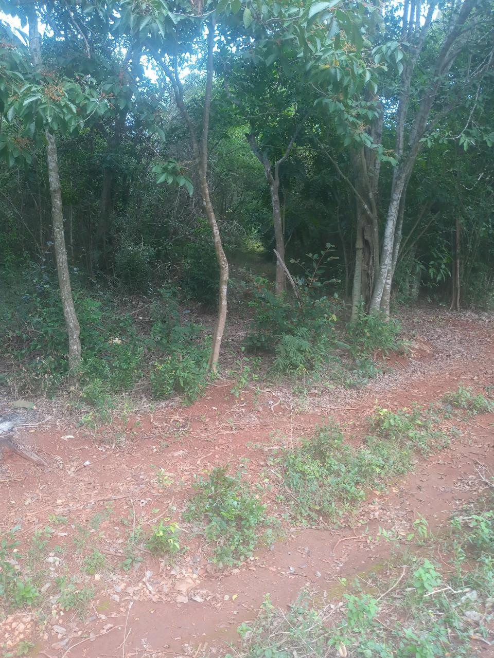 Second image of Beecher Farraras Guanaboa in Old Harbour, St. Catherine, Jamaica - property is For Sale