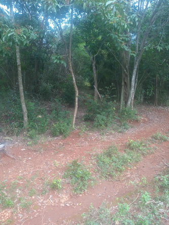 Second image of Beecher Farraras Guanaboa in Old Harbour, St. Catherine, Jamaica - property is For Sale
