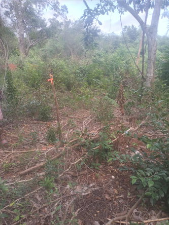Third image of Beecher Farraras Guanaboa in Old Harbour, St. Catherine, Jamaica - property is For Sale