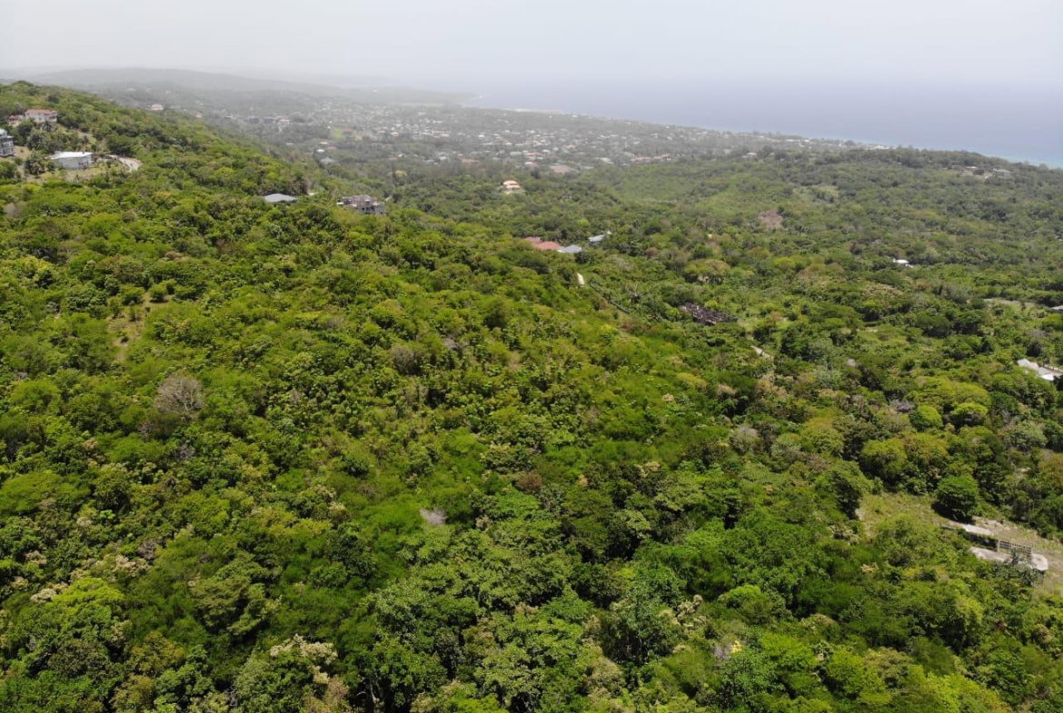 Second image of Cardiff Hall in Runaway Bay, St. Ann, Jamaica - property is For Sale