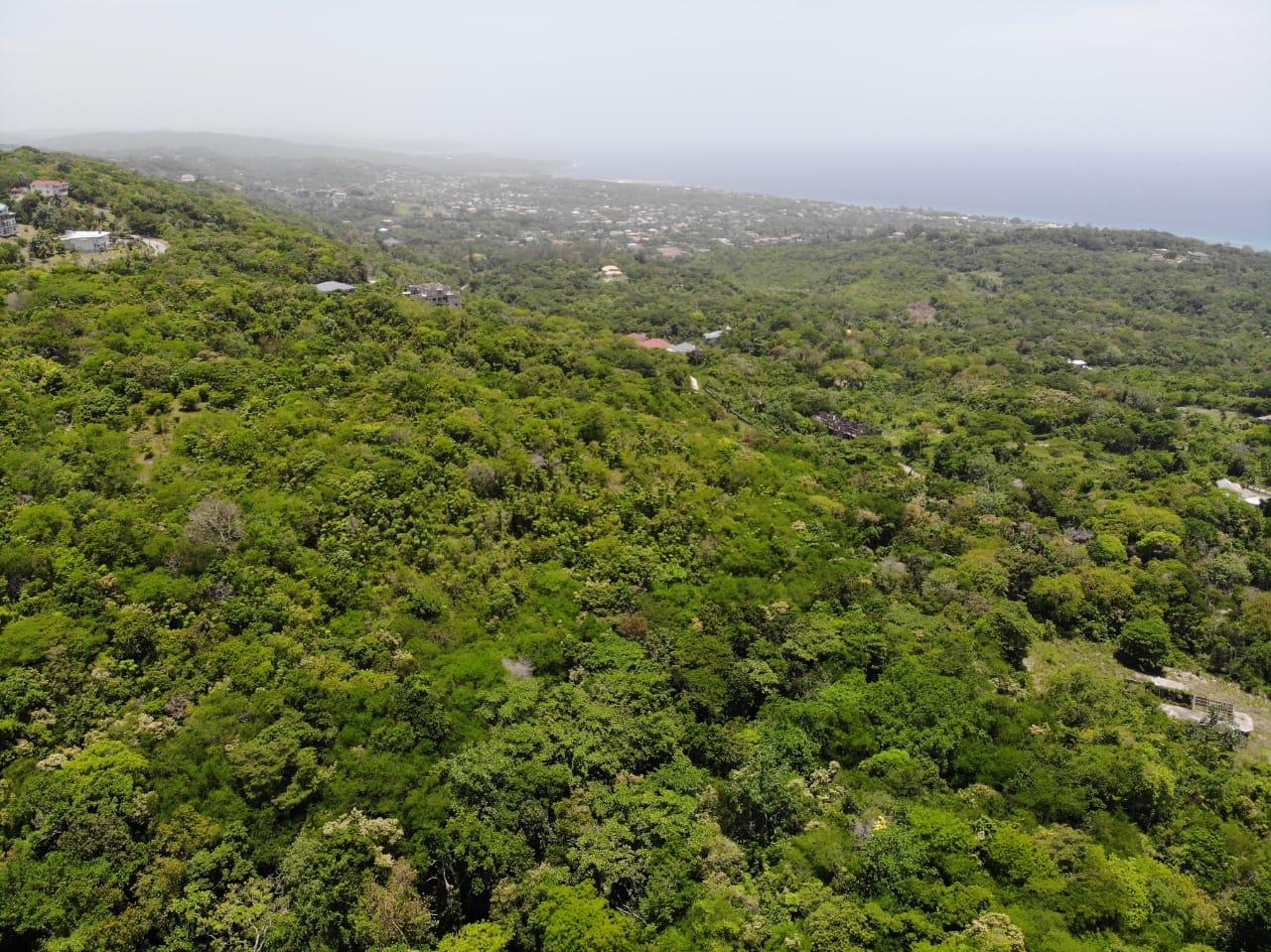 35.33-Acres-Ocean-View-Development-Land-in-Cardiff-Hall-Jamaica Second image of Cardiff Hall in Runaway Bay, St. Ann, Jamaica - property is For Sale
