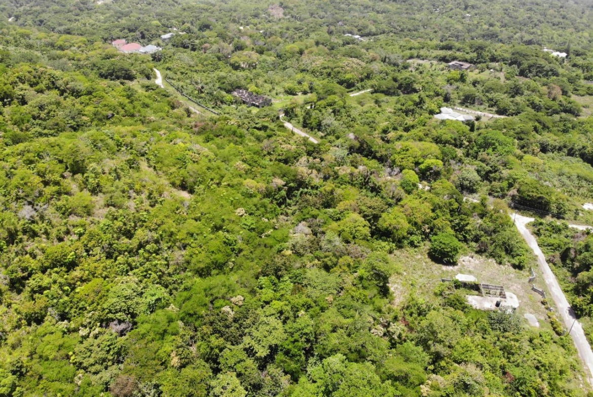 Twelfth image of Cardiff Hall in Runaway Bay, St. Ann, Jamaica - property is For Sale