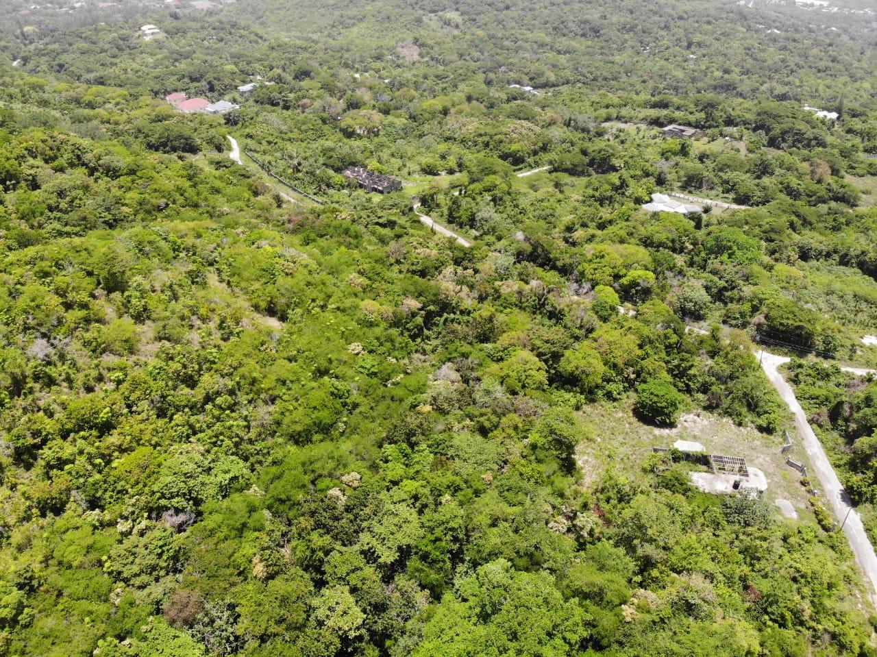 35.33-Acres-Ocean-View-Development-Land-in-Cardiff-Hall-Jamaica Twelfth image of Cardiff Hall in Runaway Bay, St. Ann, Jamaica - property is For Sale