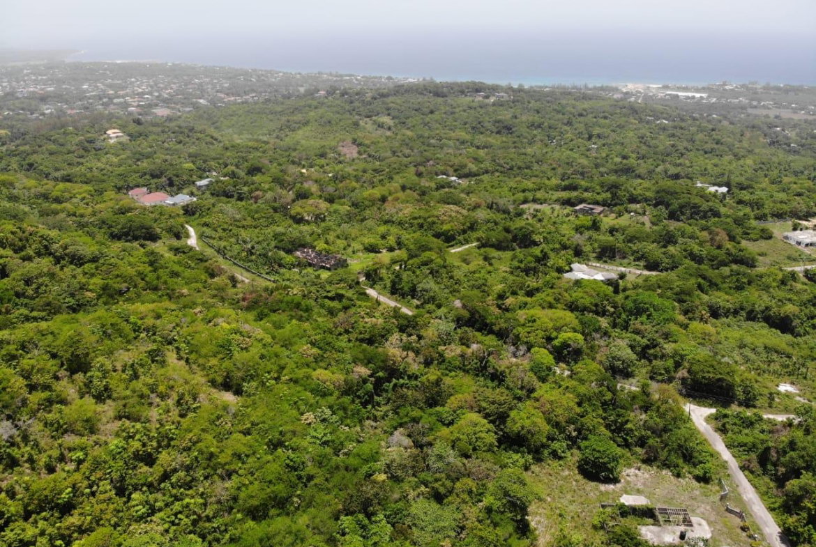 Fourteenth image of Cardiff Hall in Runaway Bay, St. Ann, Jamaica - property is For Sale