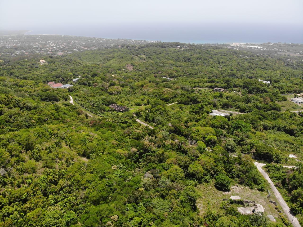 35.33-Acres-Ocean-View-Development-Land-in-Cardiff-Hall-Jamaica Fourteenth image of Cardiff Hall in Runaway Bay, St. Ann, Jamaica - property is For Sale
