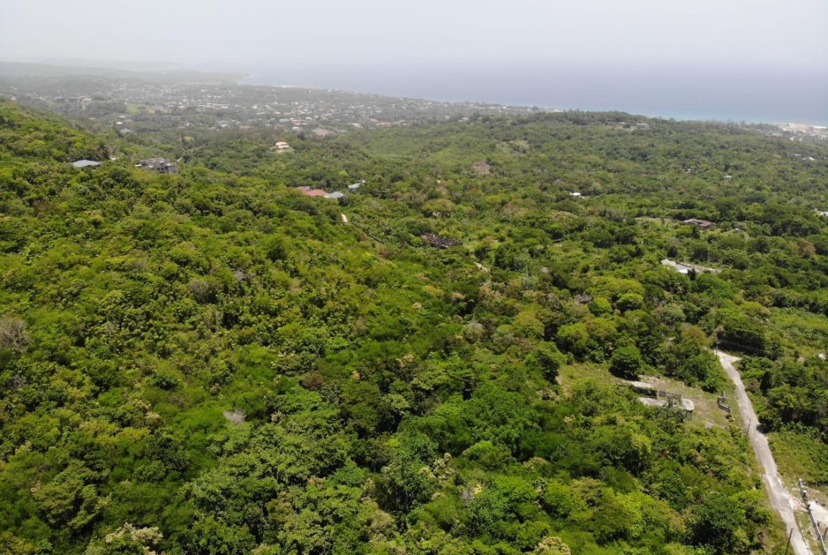 Fifteenth image of Cardiff Hall in Runaway Bay, St. Ann, Jamaica - property is For Sale