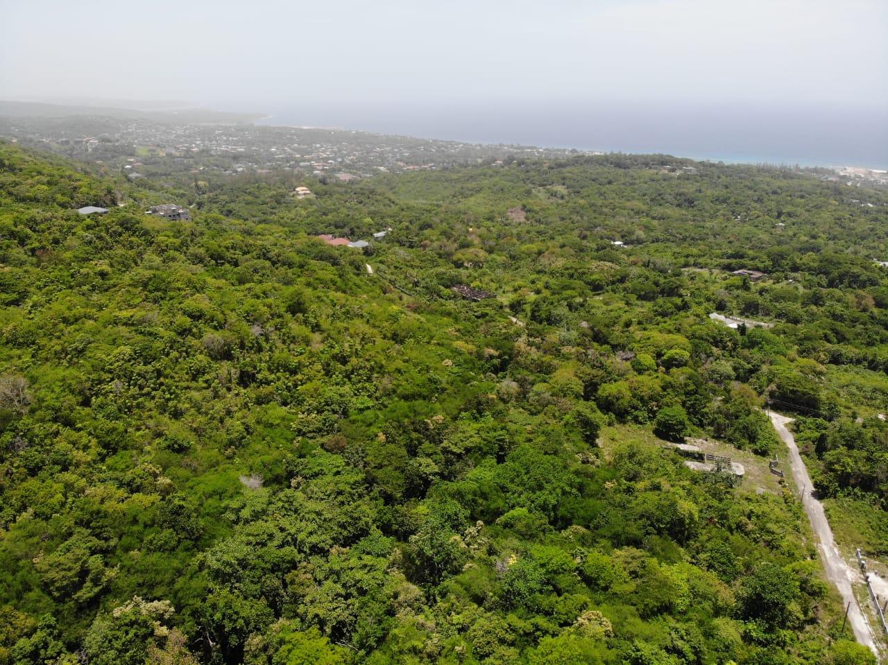 35.33-Acres-Ocean-View-Development-Land-in-Cardiff-Hall-Jamaica Fifteenth image of Cardiff Hall in Runaway Bay, St. Ann, Jamaica - property is For Sale