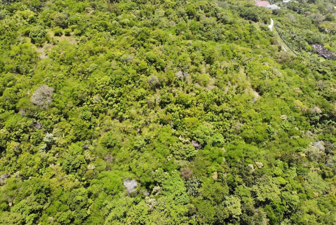 Sixteenth image of Cardiff Hall in Runaway Bay, St. Ann, Jamaica - property is For Sale