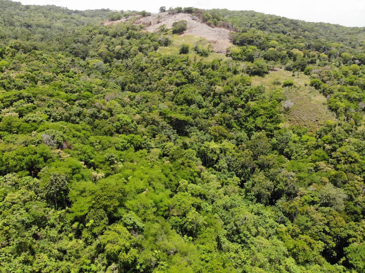 35.33-Acres-Ocean-View-Development-Land-in-Cardiff-Hall-Jamaica Seventeenth image of Cardiff Hall in Runaway Bay, St. Ann, Jamaica - property is For Sale