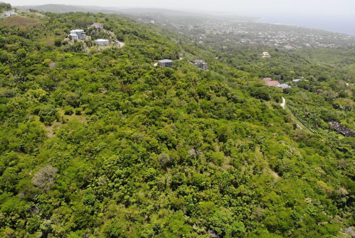 Eighteenth image of Cardiff Hall in Runaway Bay, St. Ann, Jamaica - property is For Sale