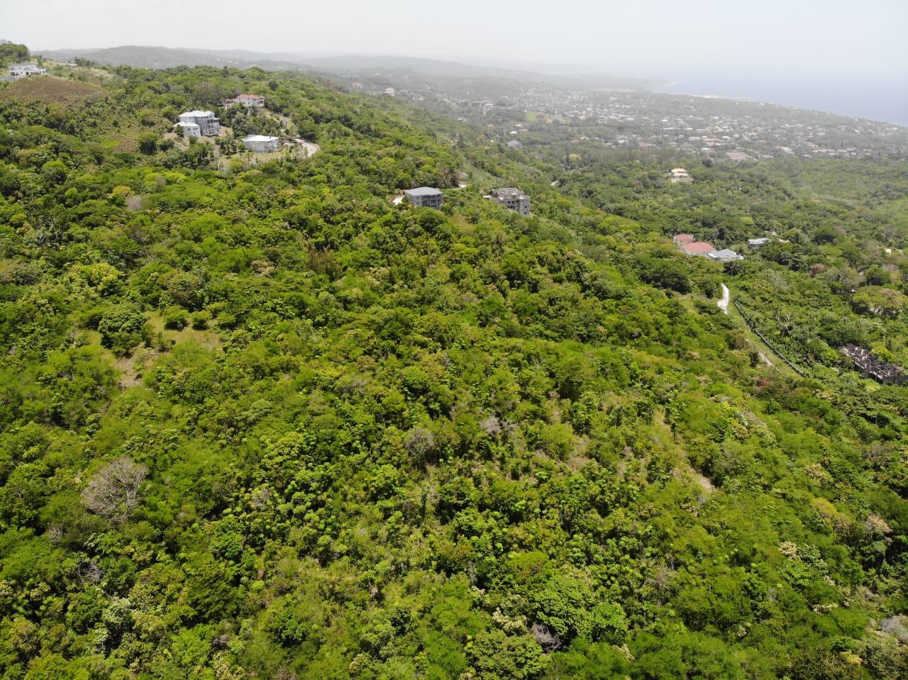 35.33-Acres-Ocean-View-Development-Land-in-Cardiff-Hall-Jamaica Eighteenth image of Cardiff Hall in Runaway Bay, St. Ann, Jamaica - property is For Sale