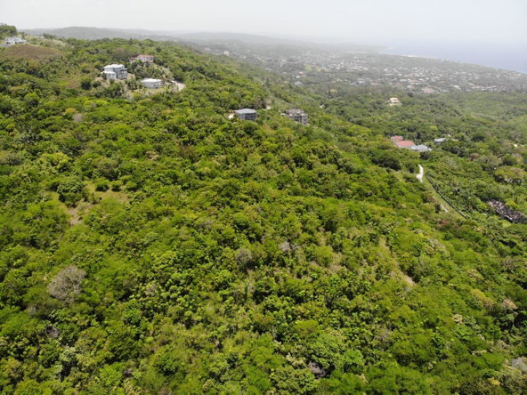 Eighteenth image of Cardiff Hall in Runaway Bay, St. Ann, Jamaica - property is For Sale