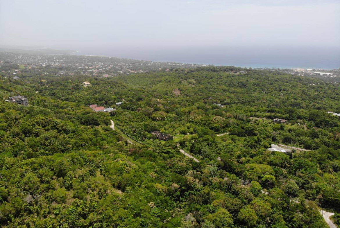 Nineteenth image of Cardiff Hall in Runaway Bay, St. Ann, Jamaica - property is For Sale
