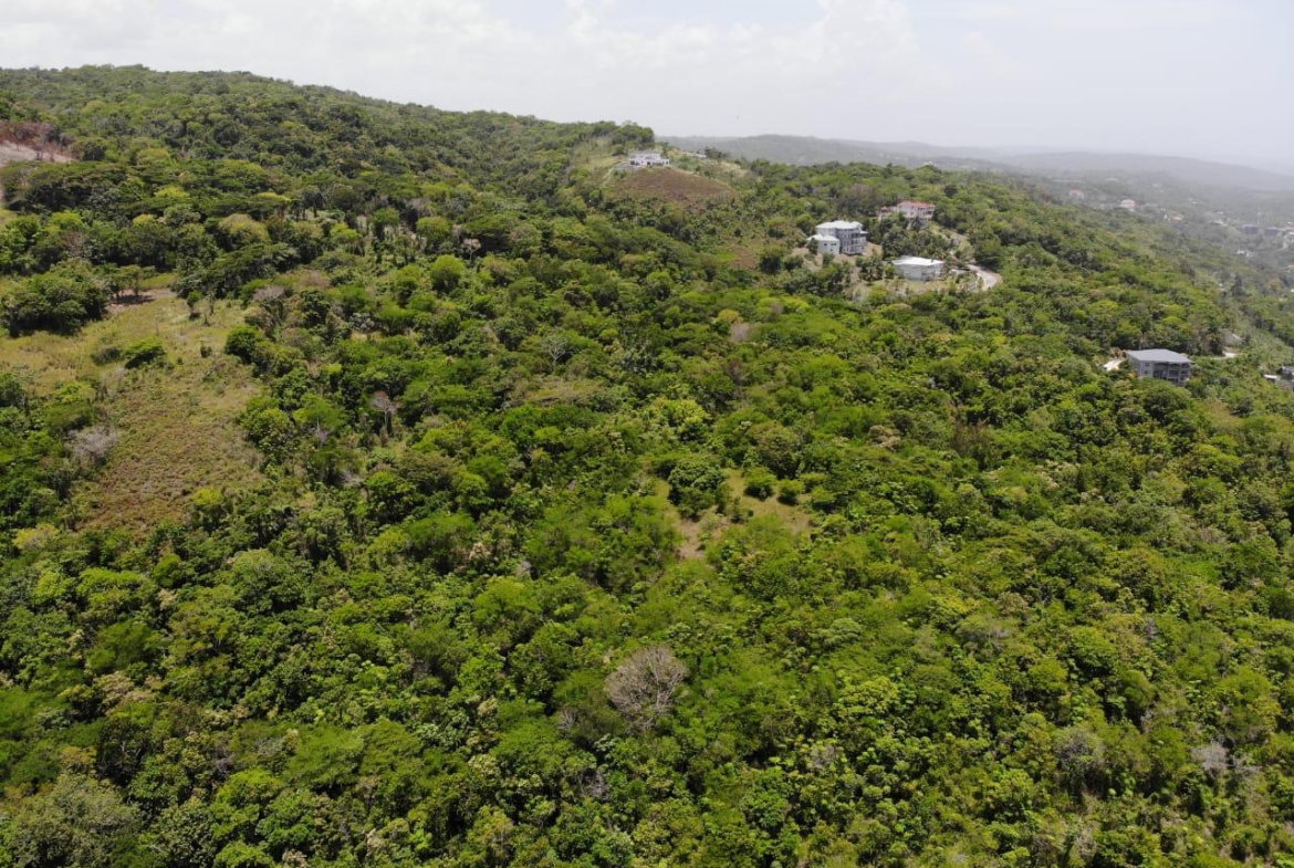 Twentieth image of Cardiff Hall in Runaway Bay, St. Ann, Jamaica - property is For Sale