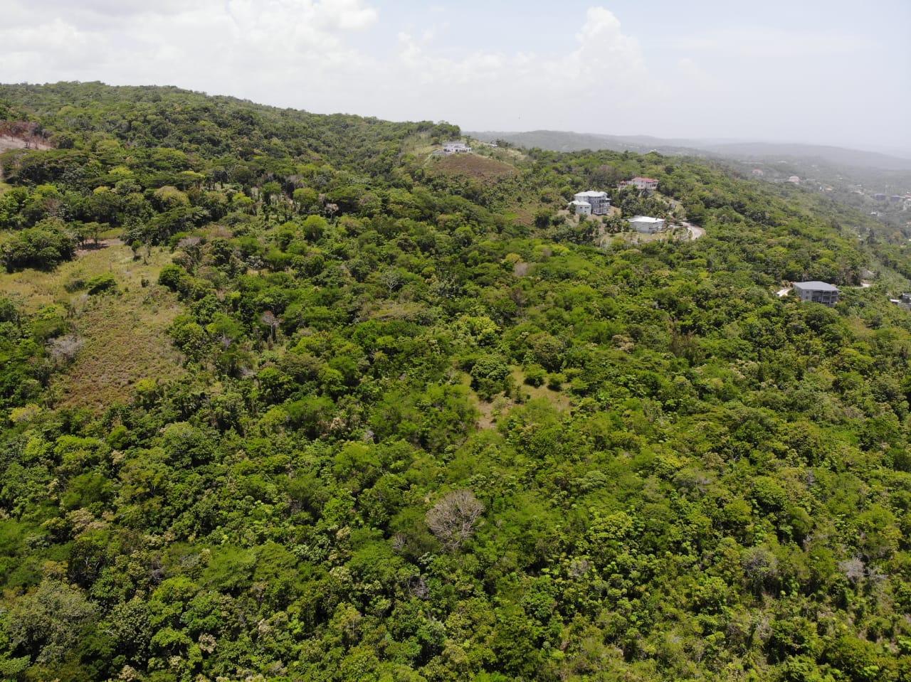 35.33-Acres-Ocean-View-Development-Land-in-Cardiff-Hall-Jamaica Twentieth image of Cardiff Hall in Runaway Bay, St. Ann, Jamaica - property is For Sale