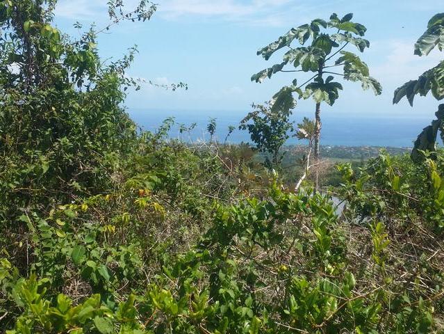 Third image of Cardiff Hall in Runaway Bay, St. Ann, Jamaica - property is For Sale